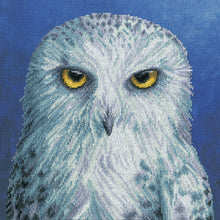 Load image into Gallery viewer, Wisdom (Owl) Cross Stitch Kit - Bothy Threads