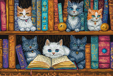 Bookshelf Cross Stitch Kit - Letistitch