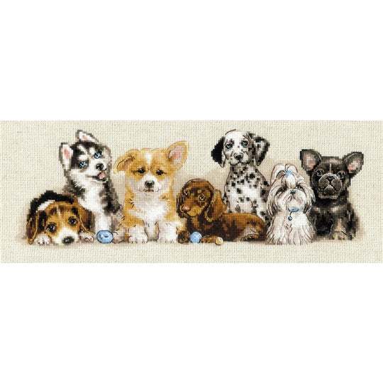 Riolis ~ Counted Cross Stitch Kit ~ Puppies – Cotton Club Crafts